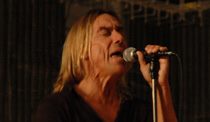 Iggy and The Stooges